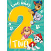 Picture of 2ND PAWPATROL BIRTHDAY CARD